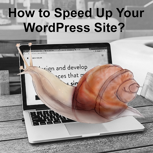How to Speed Up Your Wordpress Website?