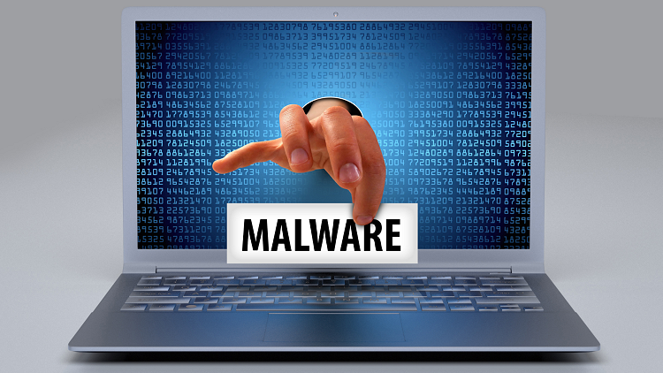 What do Malware Programs do?