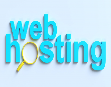 What is web hosting