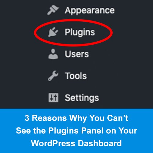 Why Cant I See My Plugins in My WordPress Dashboard